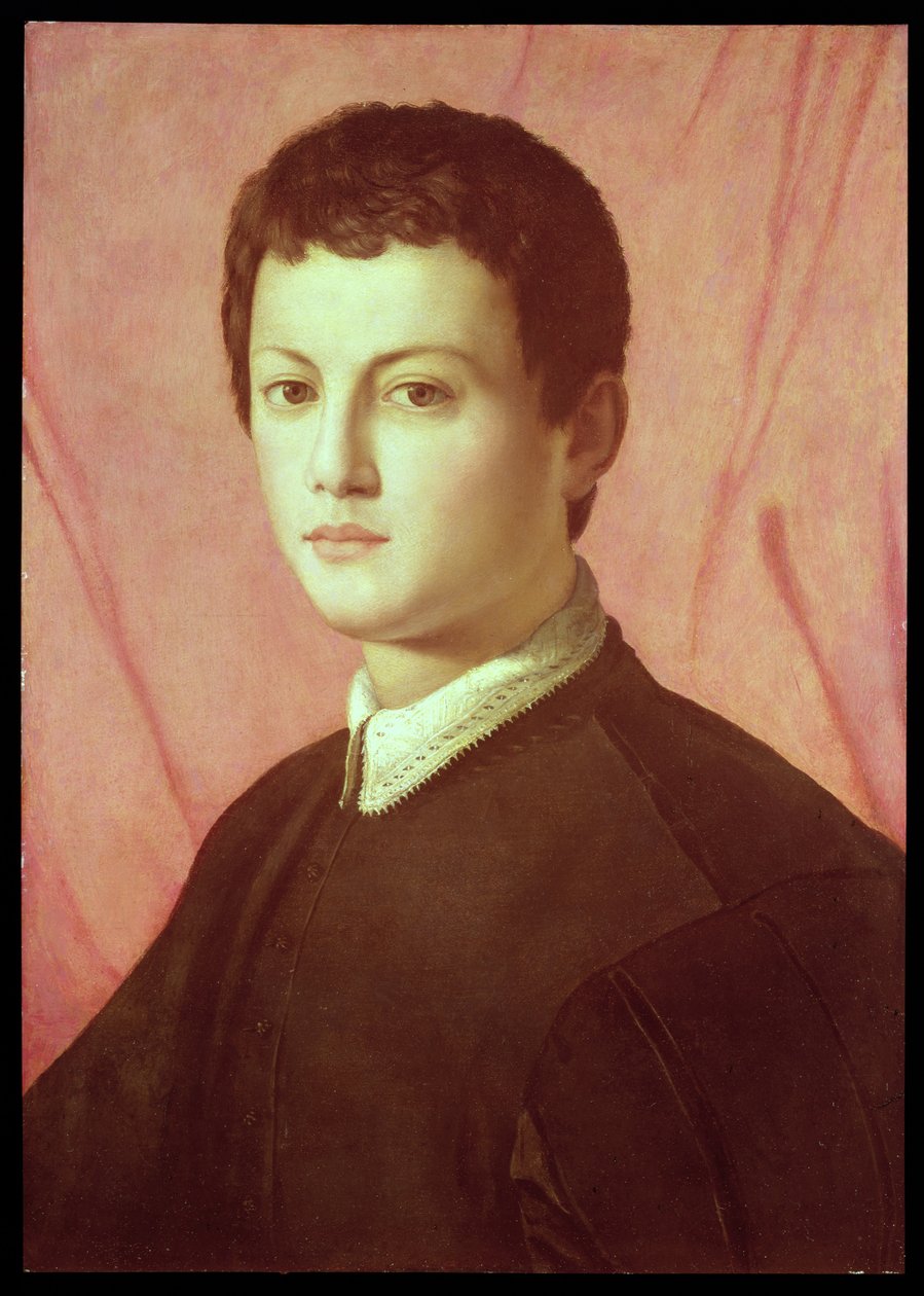 Portrét mladého muže (panel) od Agnolo Bronzino