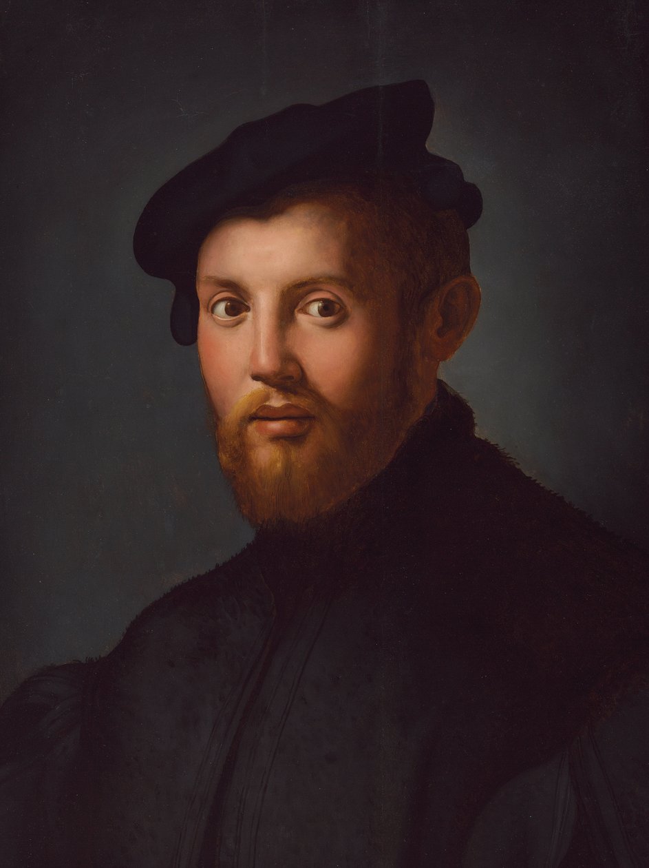 Portrét mladého muže s knihou od Agnolo Bronzino