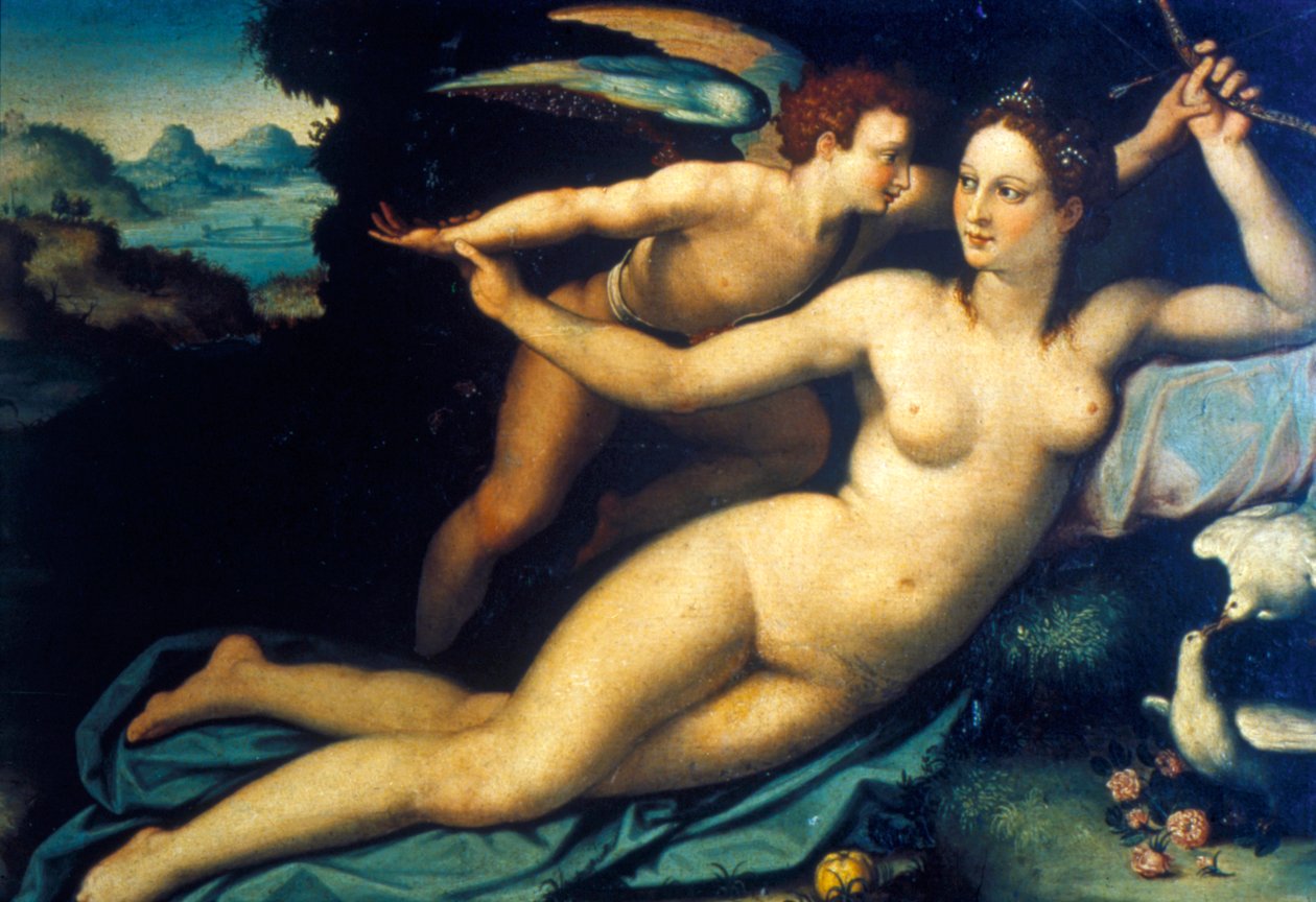 Venuše a Amor, polovina 16. století od Agnolo Bronzino