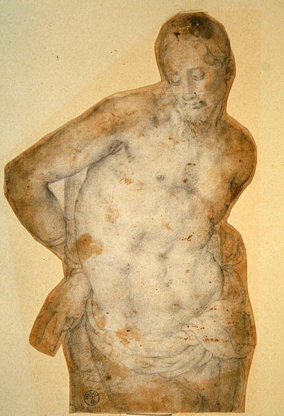 Kristus u sloupu (křída na papíře) od Agnolo Bronzino
