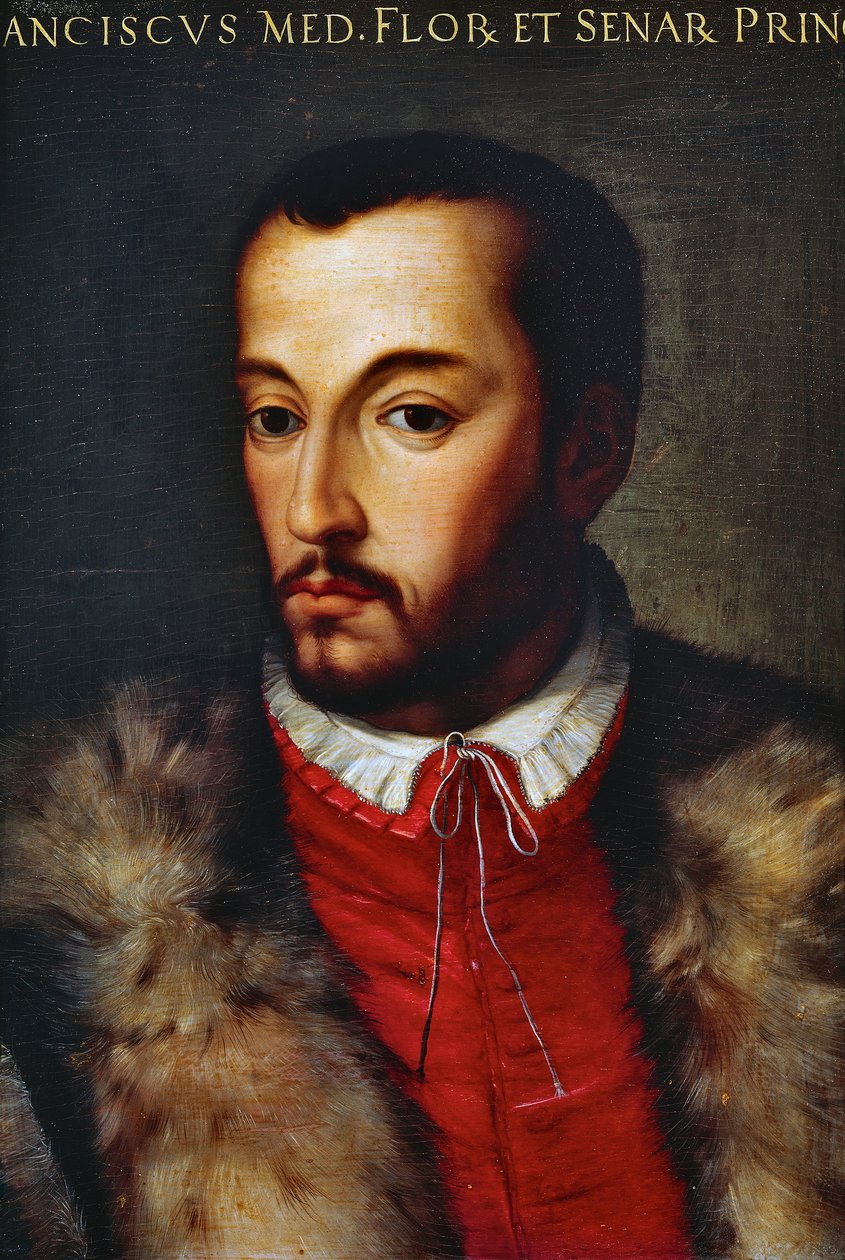 Portrét Francesca I de Medici (Florencie od Agnolo di Cosimo Bronzino