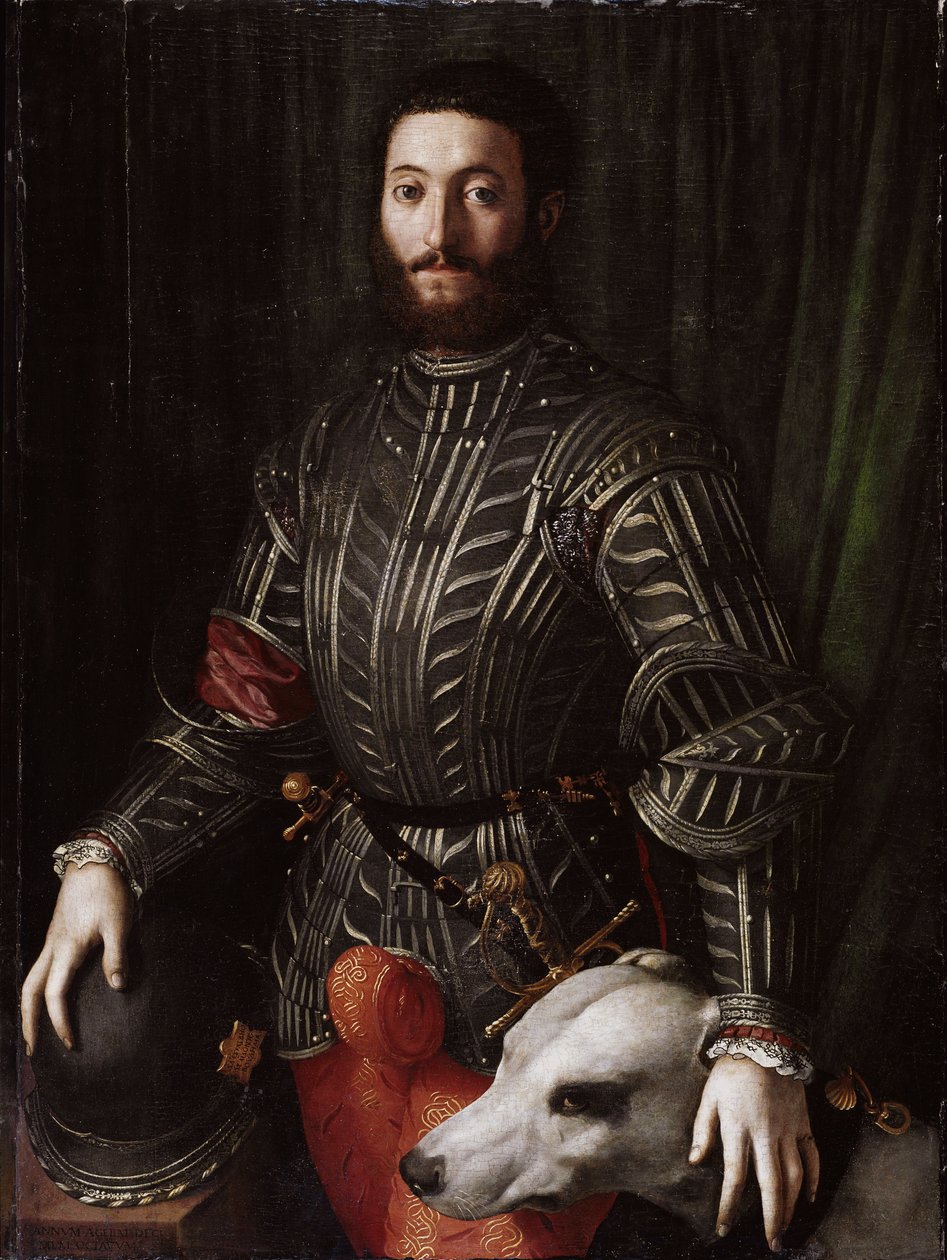 Portrét Guidobalda II Della Rovere (1514-1574) vévoda z Urbina (Guidobaldo II della Rovere, vévoda z Urbina) Obraz Bronzino Agnolo di Cosimo di Mariano (1503-1572) 1531-1532, Olej na dřevě, 4x 86 cm1 Florencie Palazzo Pitti od Agnolo Bronzino