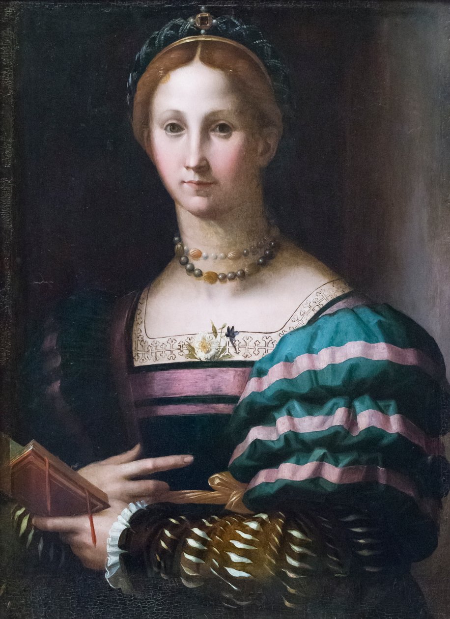 Naisen muotokuva od Agnolo Bronzino