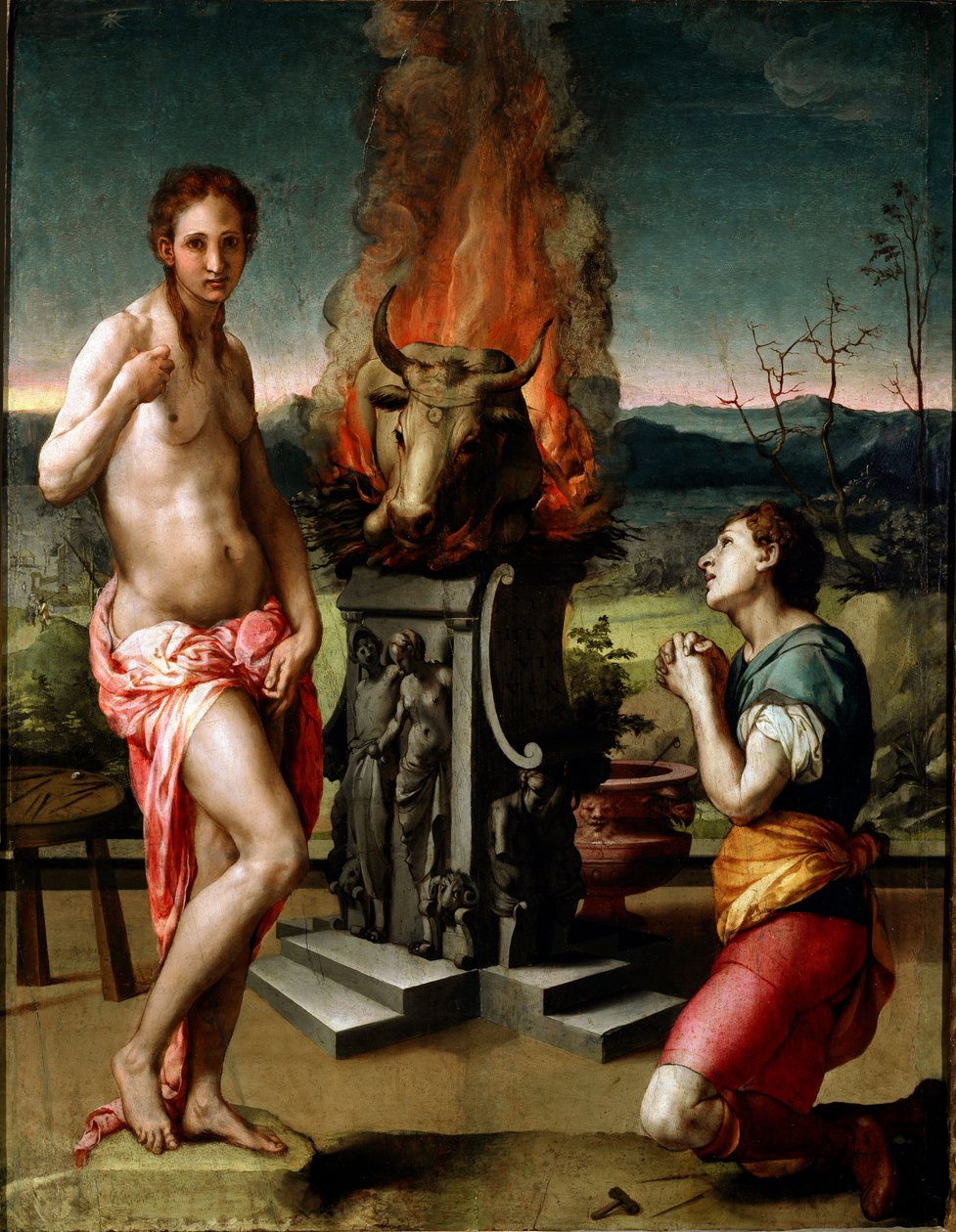 Pygmalion a Galatee (nebo Galathee) Obraz od Agnola di Cosimo di Mariano dit Il Bronzino (1502-1572) 1529-1530 ne. 81x63 cm Florencie, Galerie Uffizi (Musee des Uffizi) od Agnolo Bronzino