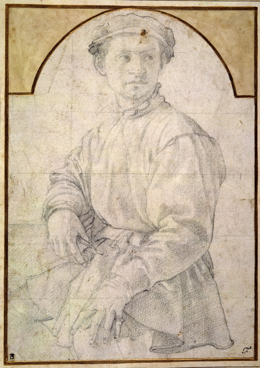 Studie pro mladého muže s loutnou od Agnolo Bronzino