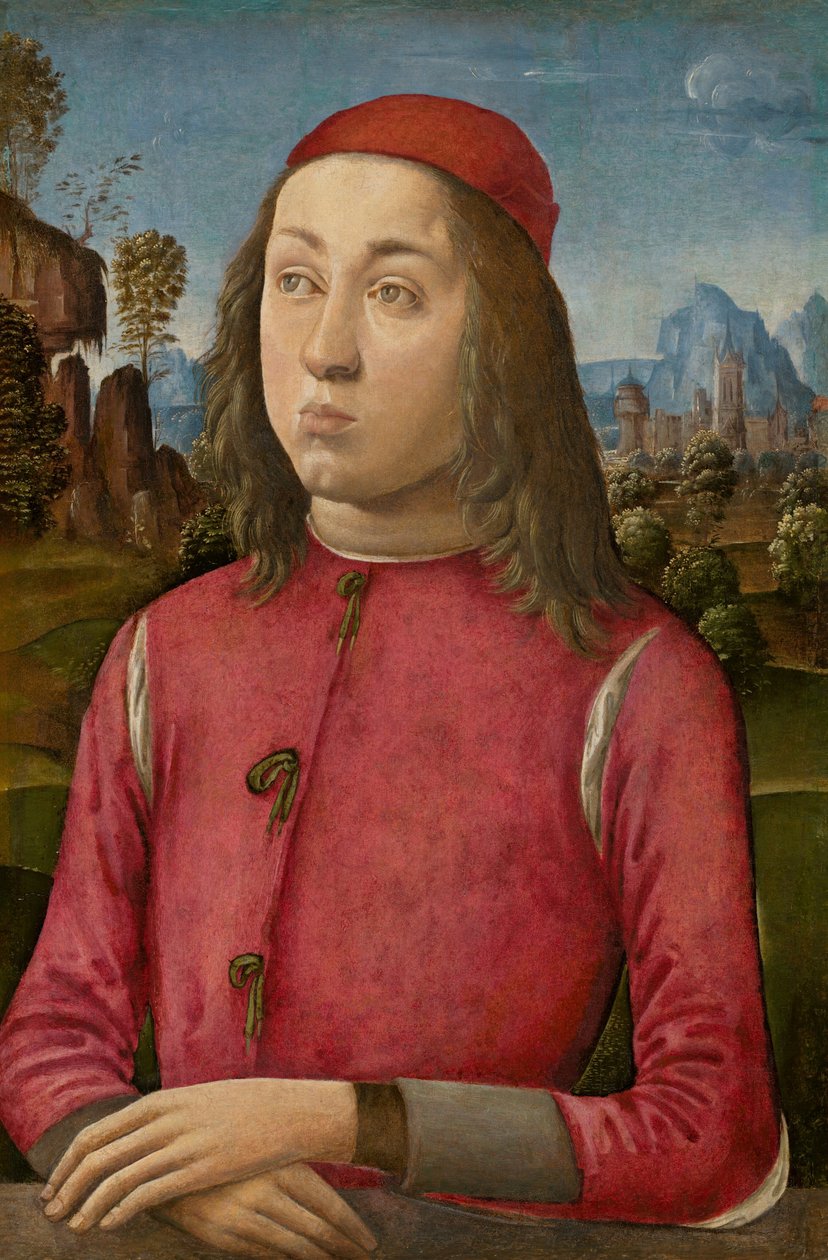 Portrét mládí, c. 14951500 od Agnolo di Domenico di Donnino