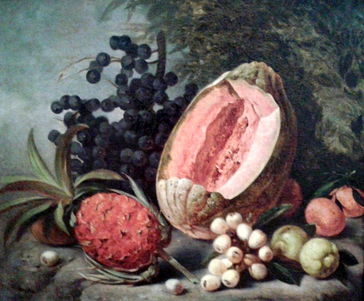 Dýně a ananas od Agostinho Jose da Mota