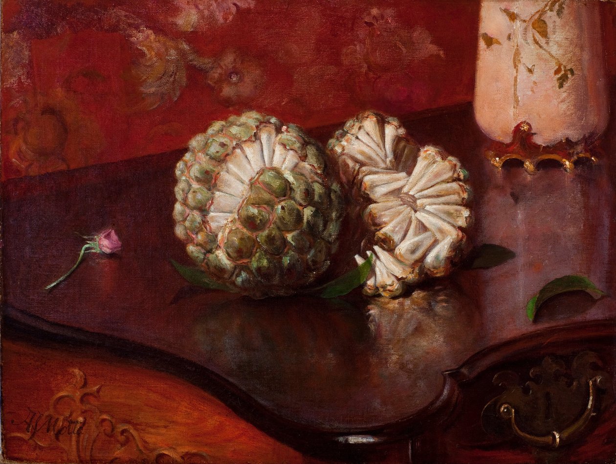 Sweetsop od Agostinhoda Motta
