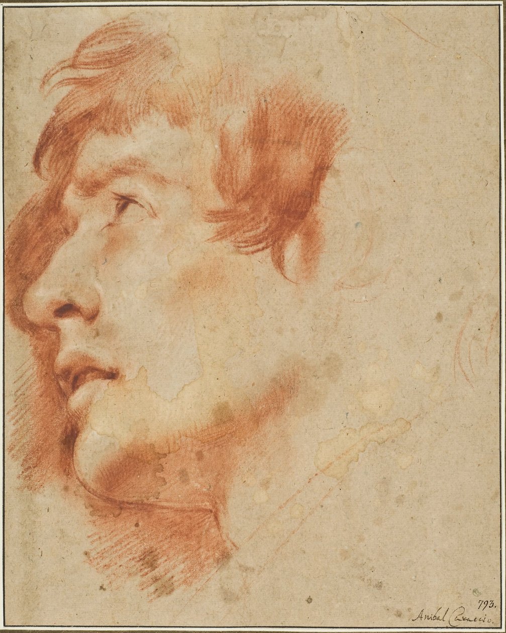 Hlava mladého muže hledícího vzhůru od Agostino Carracci