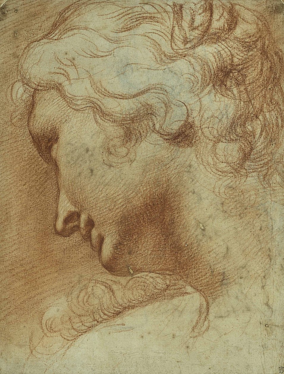 Hlava mladé ženy, která se dívá dolů přes své pravé rameno (červená křída na papíře) od Agostino Carracci