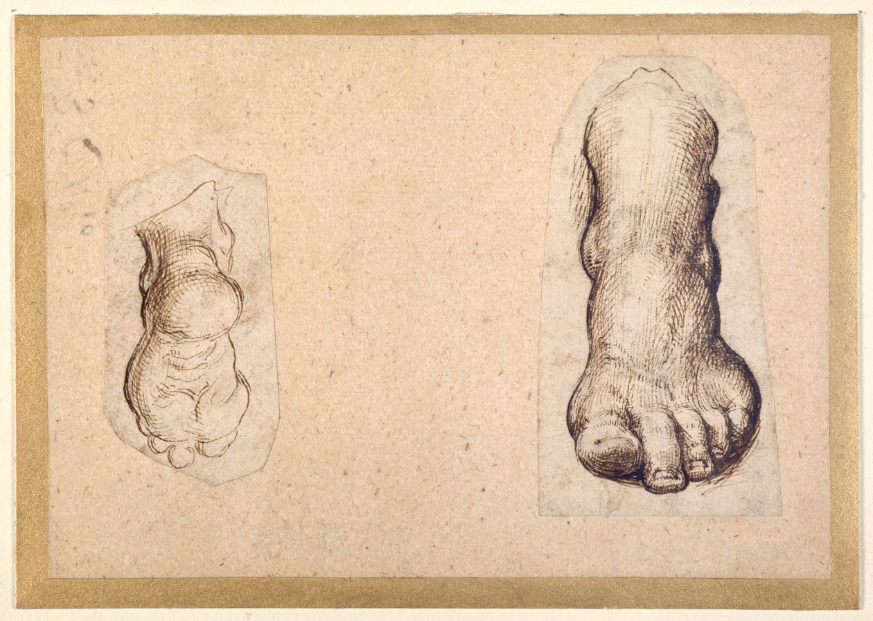 Dvě studie nohy ve zkrácení (pero a inkoust na papíře) od Agostino Carracci