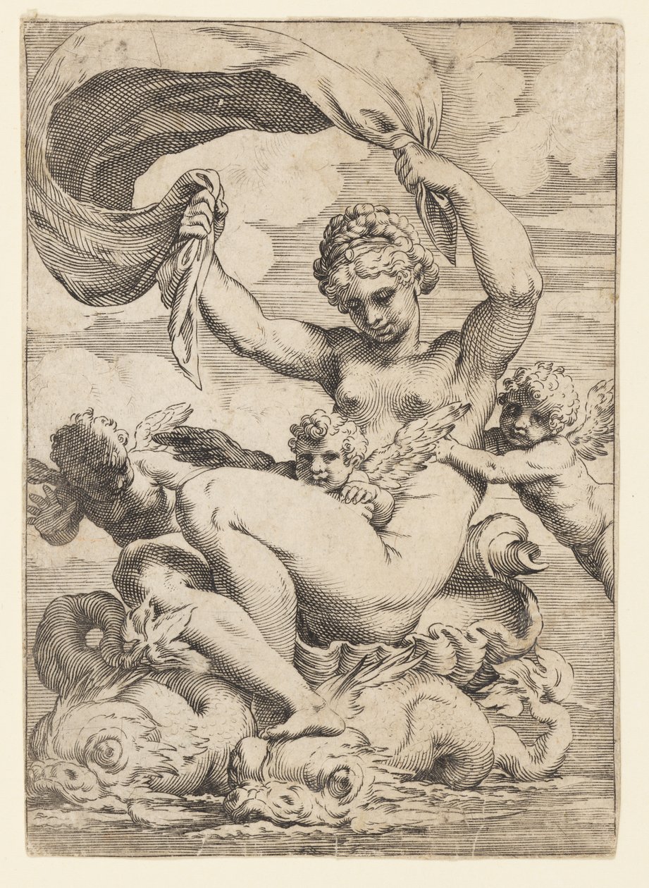Venuše (nebo Galatea) a Amorové podporovaní delfíny od Agostino Carracci