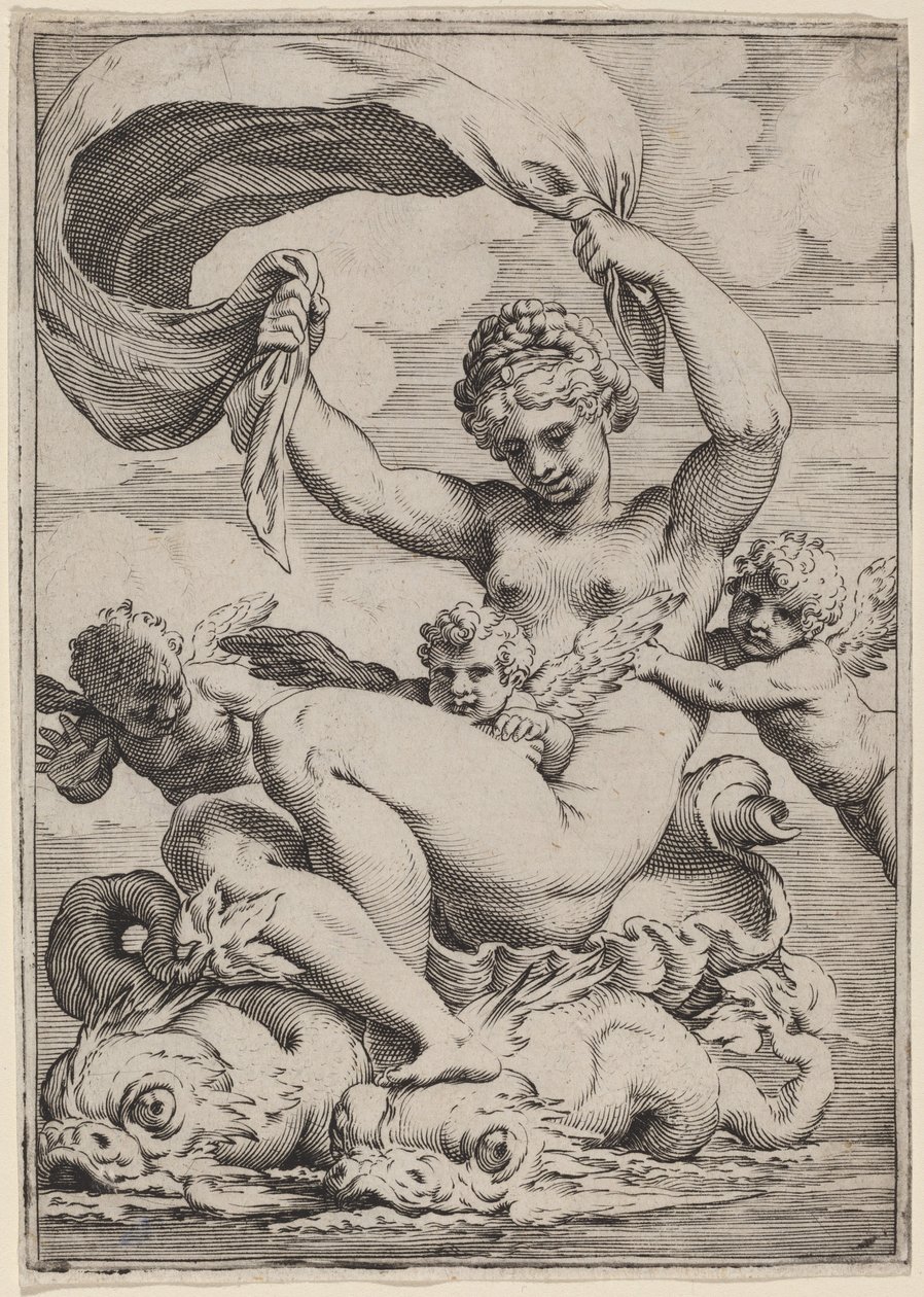 Venuše nebo Galatea podporovaná delfíny od Agostino Carracci