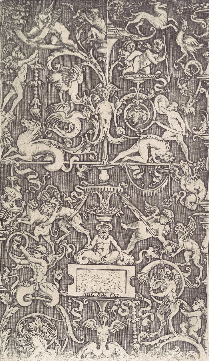 Ornamental Panel, ca. 1514-36. od Agostino Veneziano