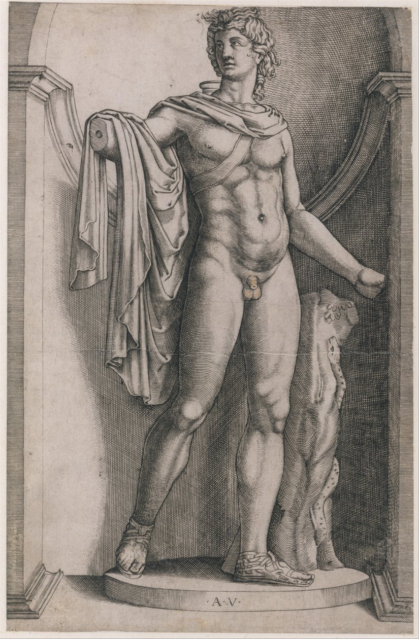 Zrcadlo římské velkoleposti: Apollo Belvedere, ca. 1514-36, ca. 1514-36. od Agostino Veneziano