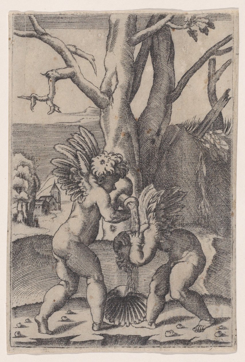 Dva Cupids, ca. 1519. od Agostino Veneziano