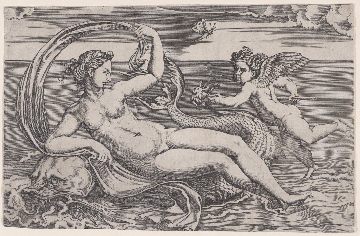 Venuše ležící na delfínovi, ca. 1516. od Agostino Veneziano