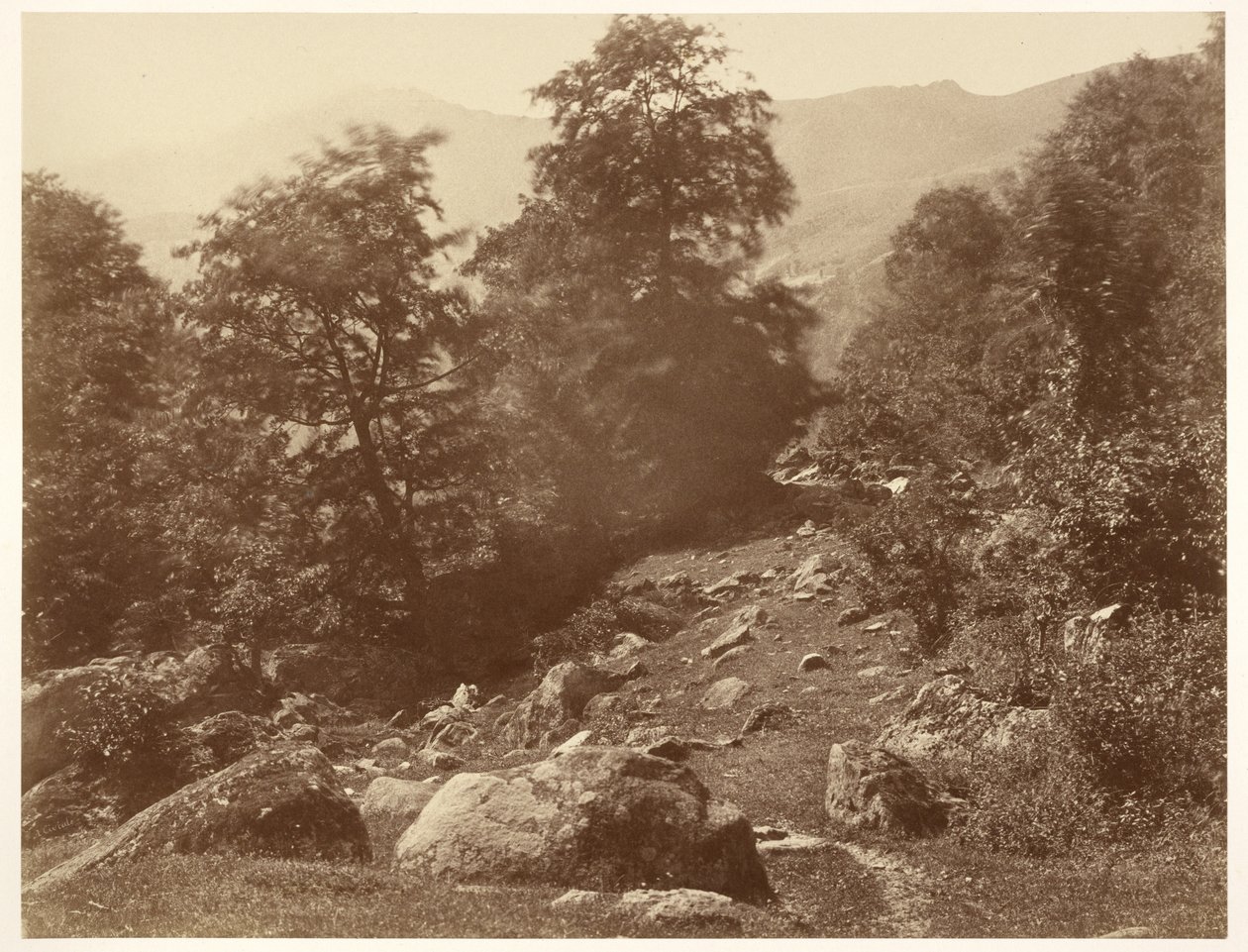 La Vallée du Lys (Coup de Vent) od Aimé Civiale