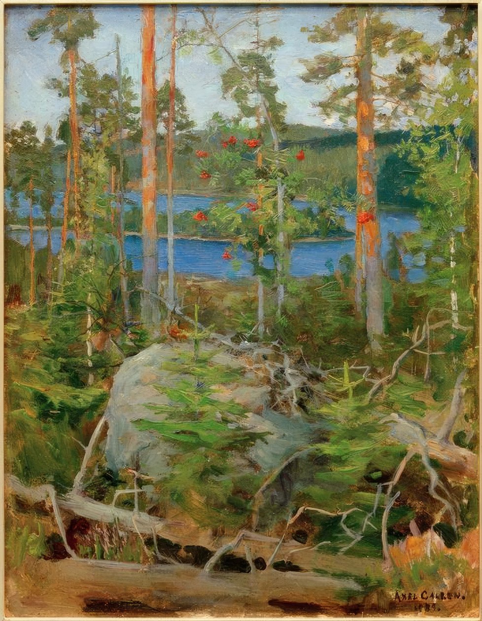 Pohled na jezero Jamajärvi od Akseli Valdemar Gallen Kallela