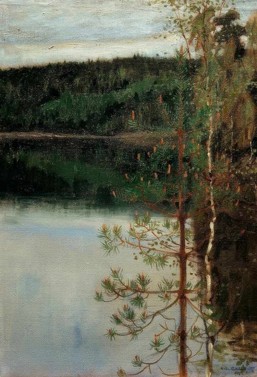 Pohled na jezero od Akseli Valdemar Gallen Kallela