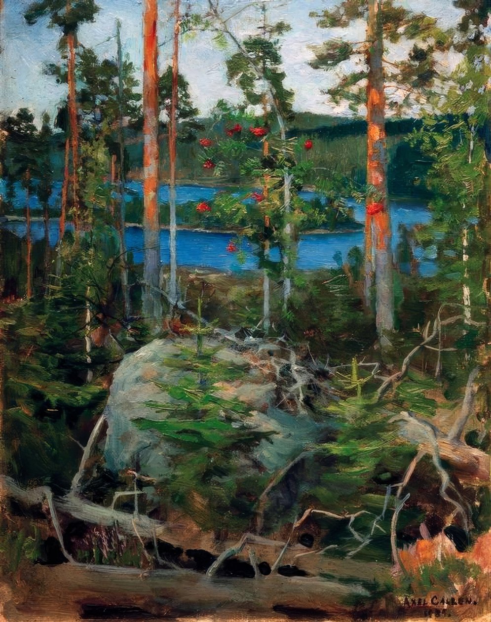 Krajina u jezera Jamajärvi od Akseli Valdemar Gallen Kallela
