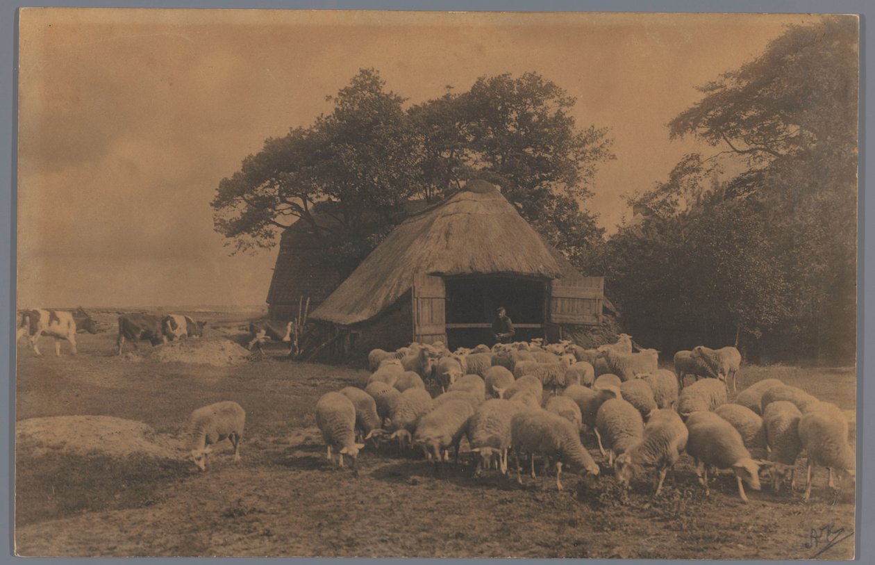 Krajina s ovcemi, krávami, farmářem a ovčínem, Nizozemsko Ovčín Alb. Kapteyn, Haag (název na objektu) od Alb. Kapteijn