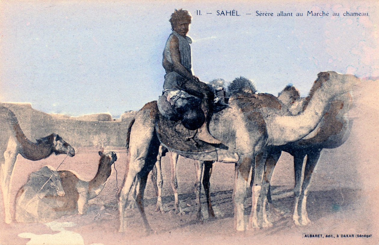 Serere, Sahel, Senegal, 20. století od Albaret