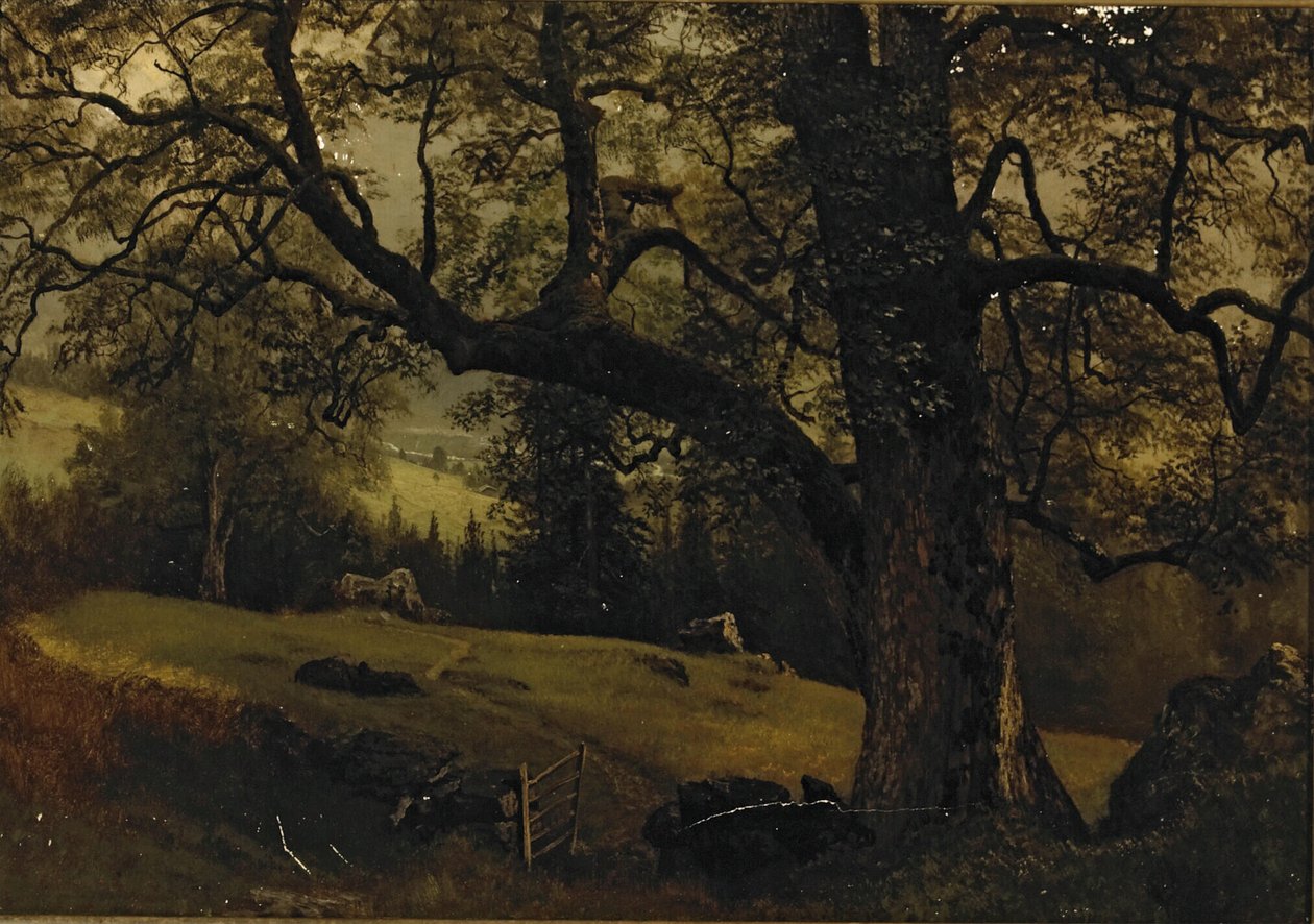 Stezka mezi stromy od Albert Bierstadt