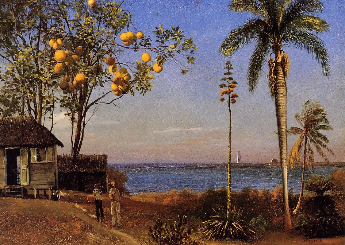 Pohled na Bahamy od Albert Bierstadt