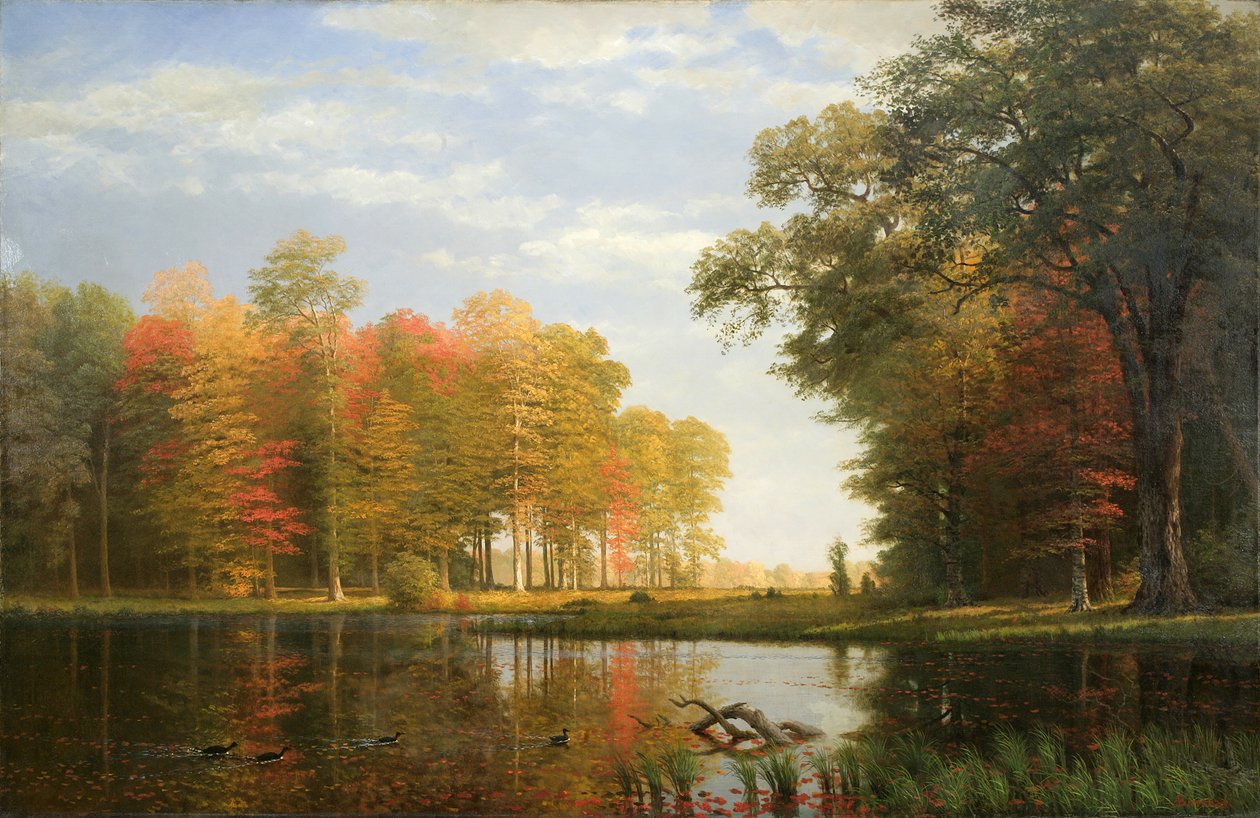 Autumn Woods, 1886 (olej na plátně) od Albert Bierstadt