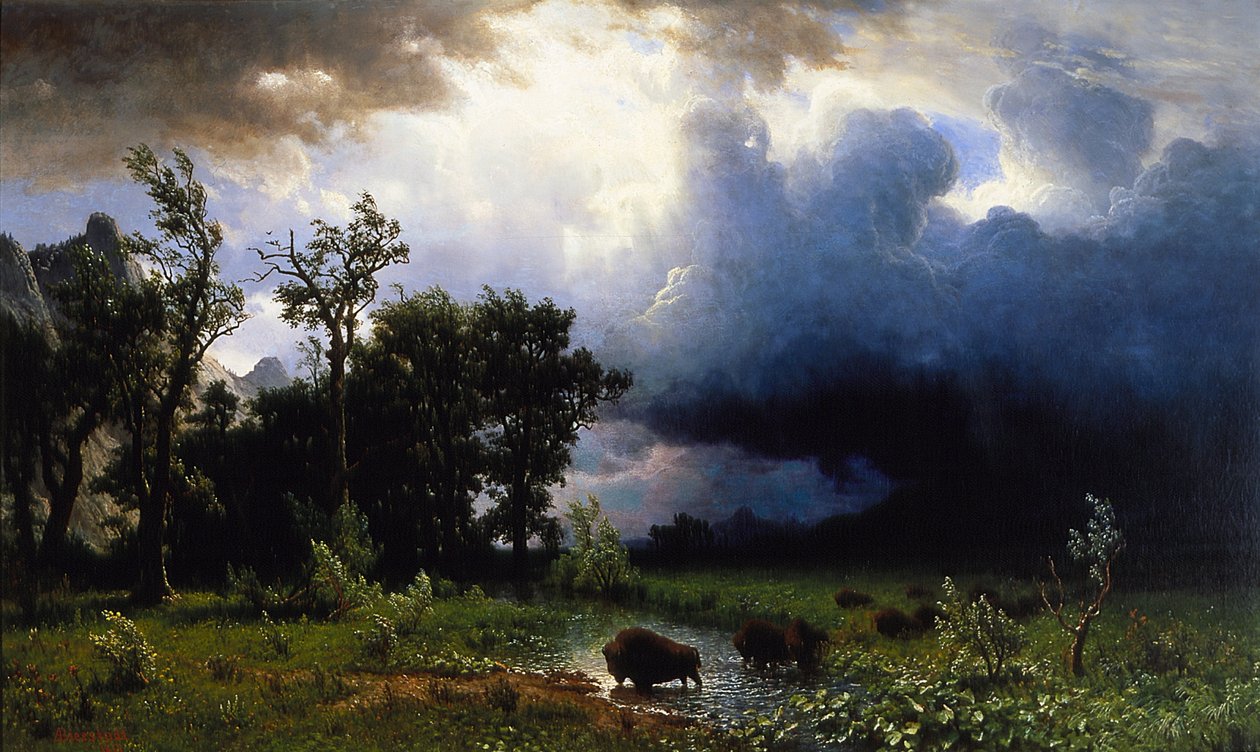 Buffalo Trail, blížící se bouře od Albert Bierstadt