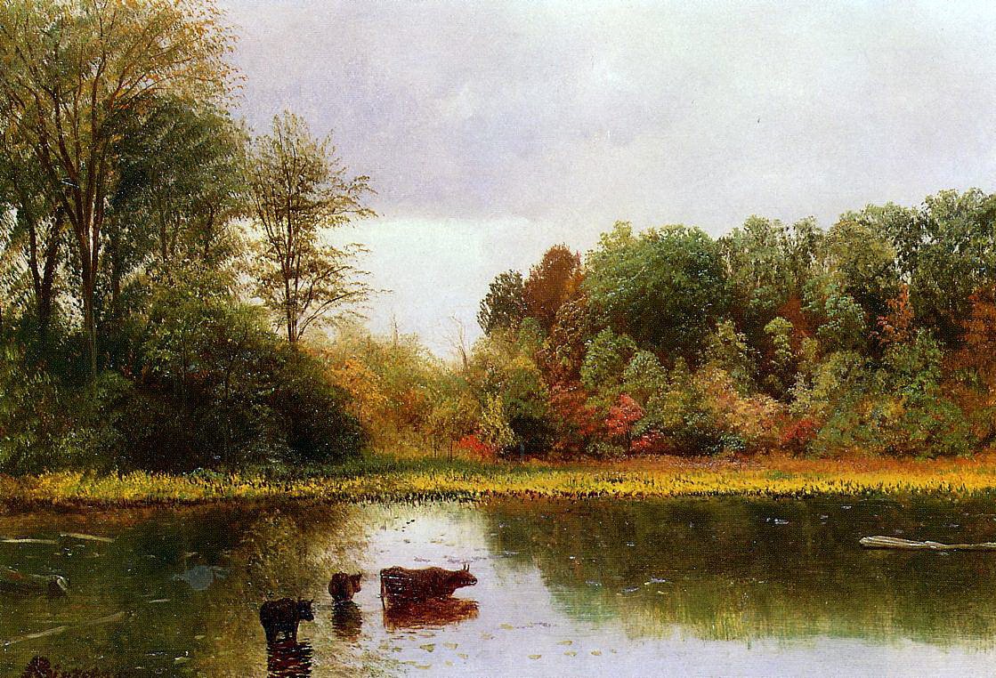 Krávy zalévání v krajině od Albert Bierstadt