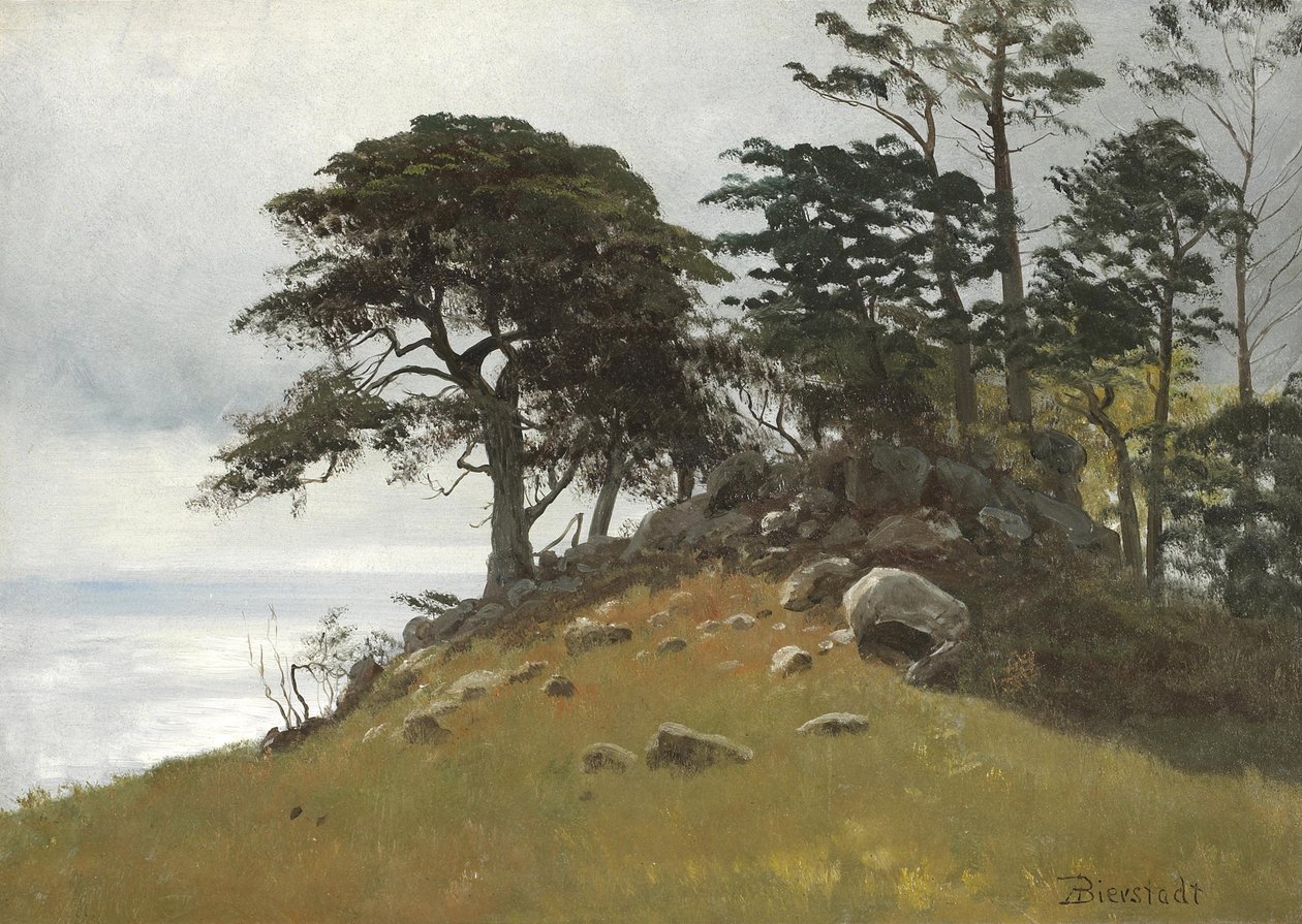 Cypress Point, Monterey od Albert Bierstadt