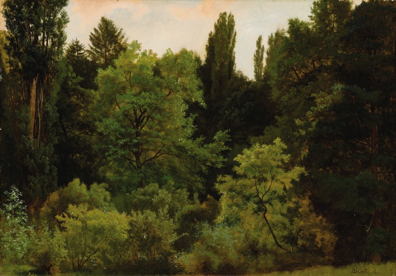 Hluboko ve Skalnatých horách od Albert Bierstadt