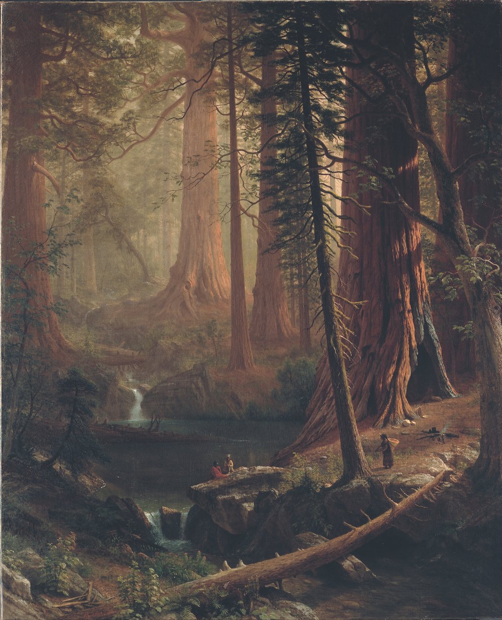 Obří stromy Redwood z Kalifornie od Albert Bierstadt
