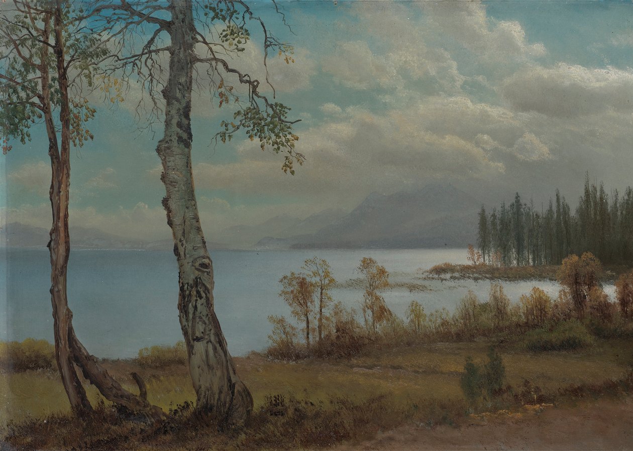Lake Tahoe od Albert Bierstadt