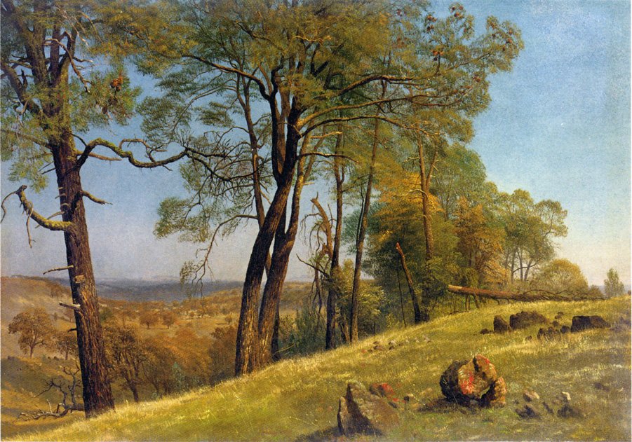 Krajina Rockland County v Kalifornii od Albert Bierstadt