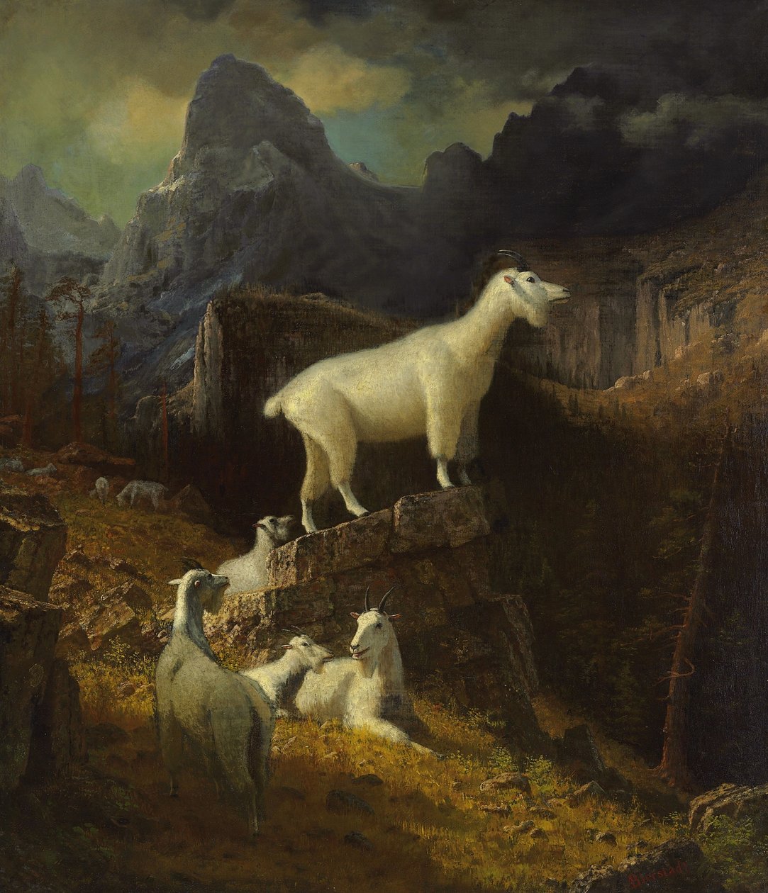 Skalnaté horské kozy od Albert Bierstadt