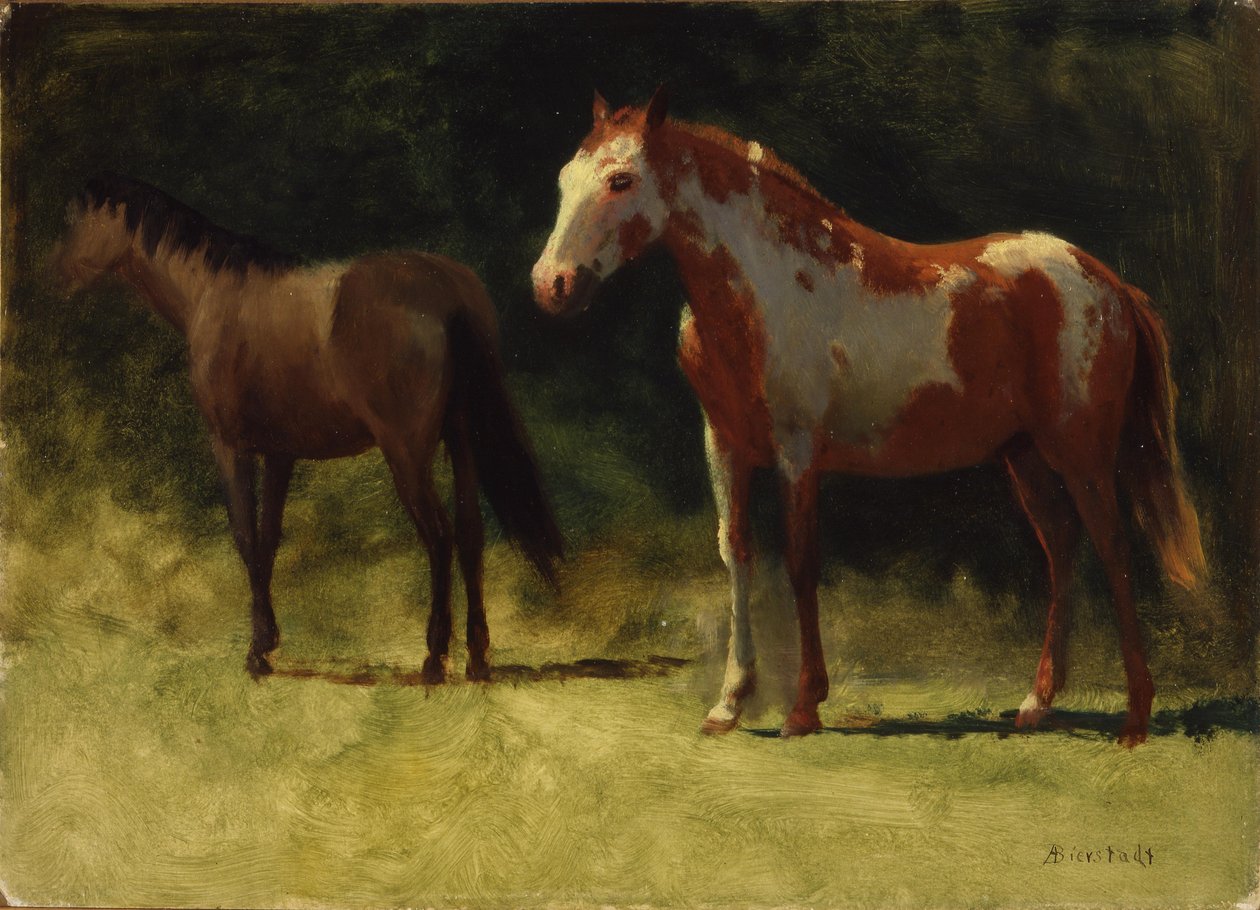 Dva koně od Albert Bierstadt