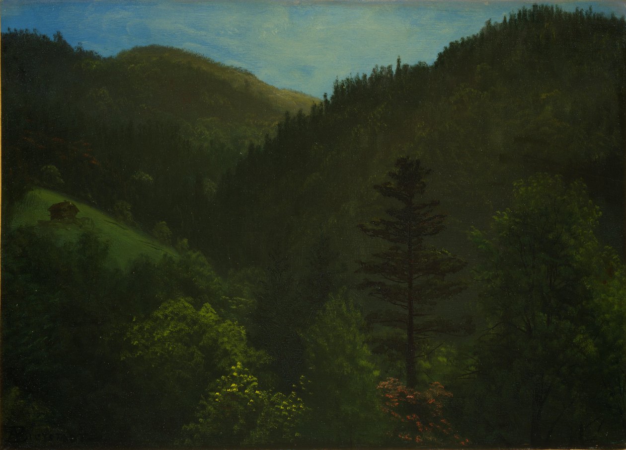 Zalesněná krajina od Albert Bierstadt