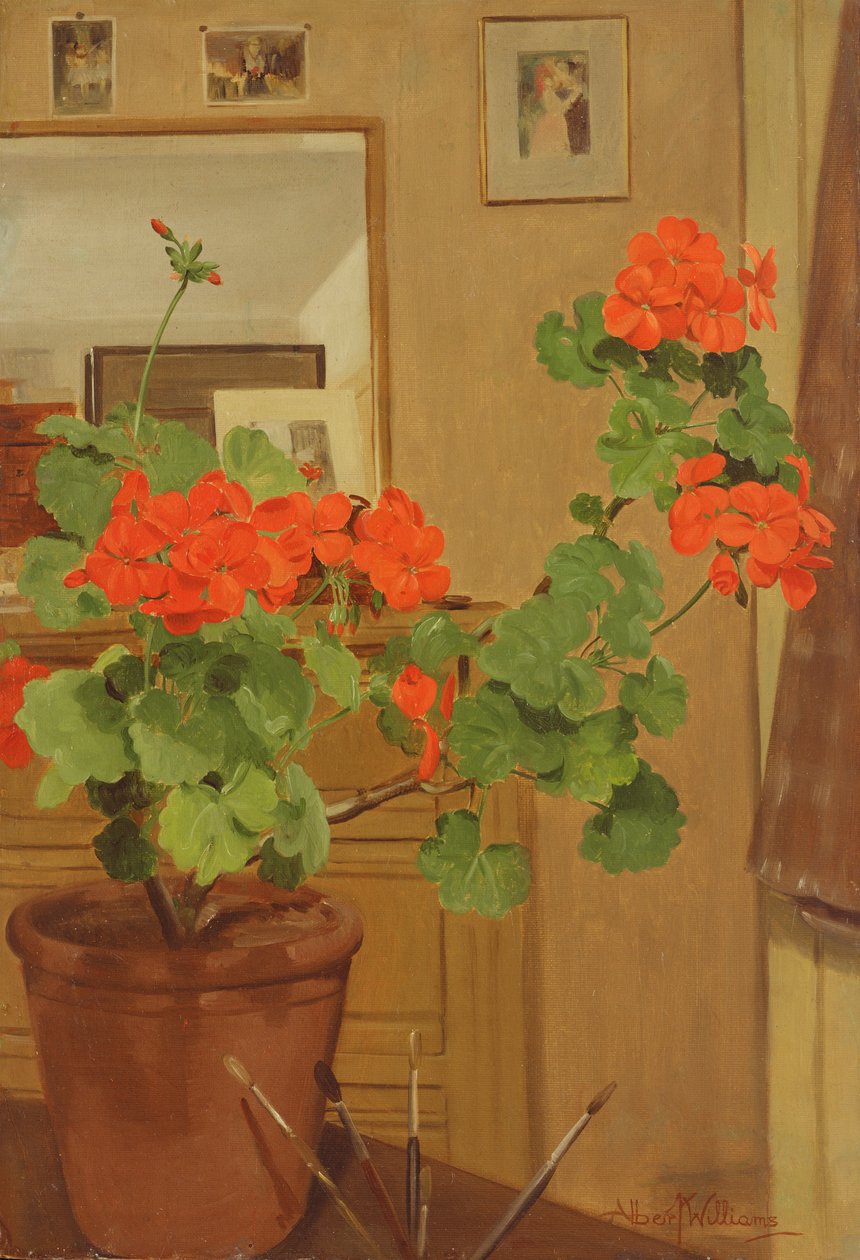 AB319 Muškáty v koutku studia, 1948-49 od Albert Williams
