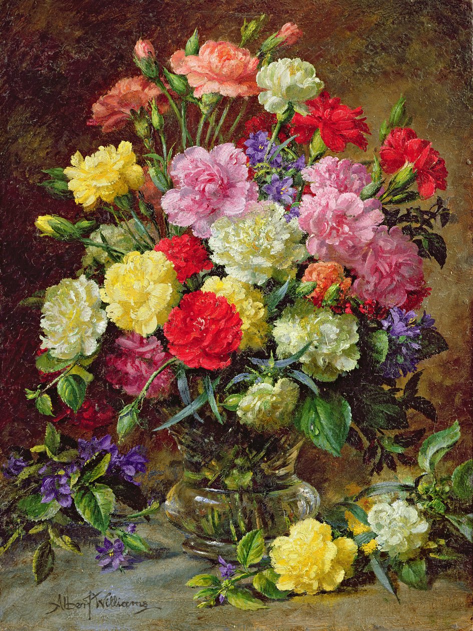Karafiáty zářivých barev od Albert Williams