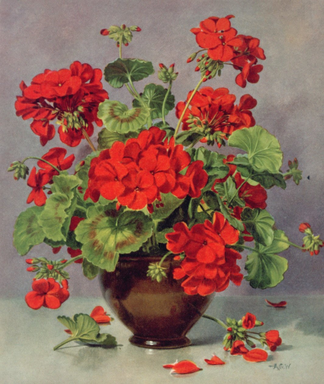 PB273 Geranium v kameninové váze od Albert Williams