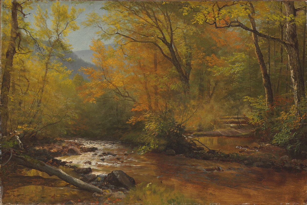 Potok v lese od Albert Bierstadt