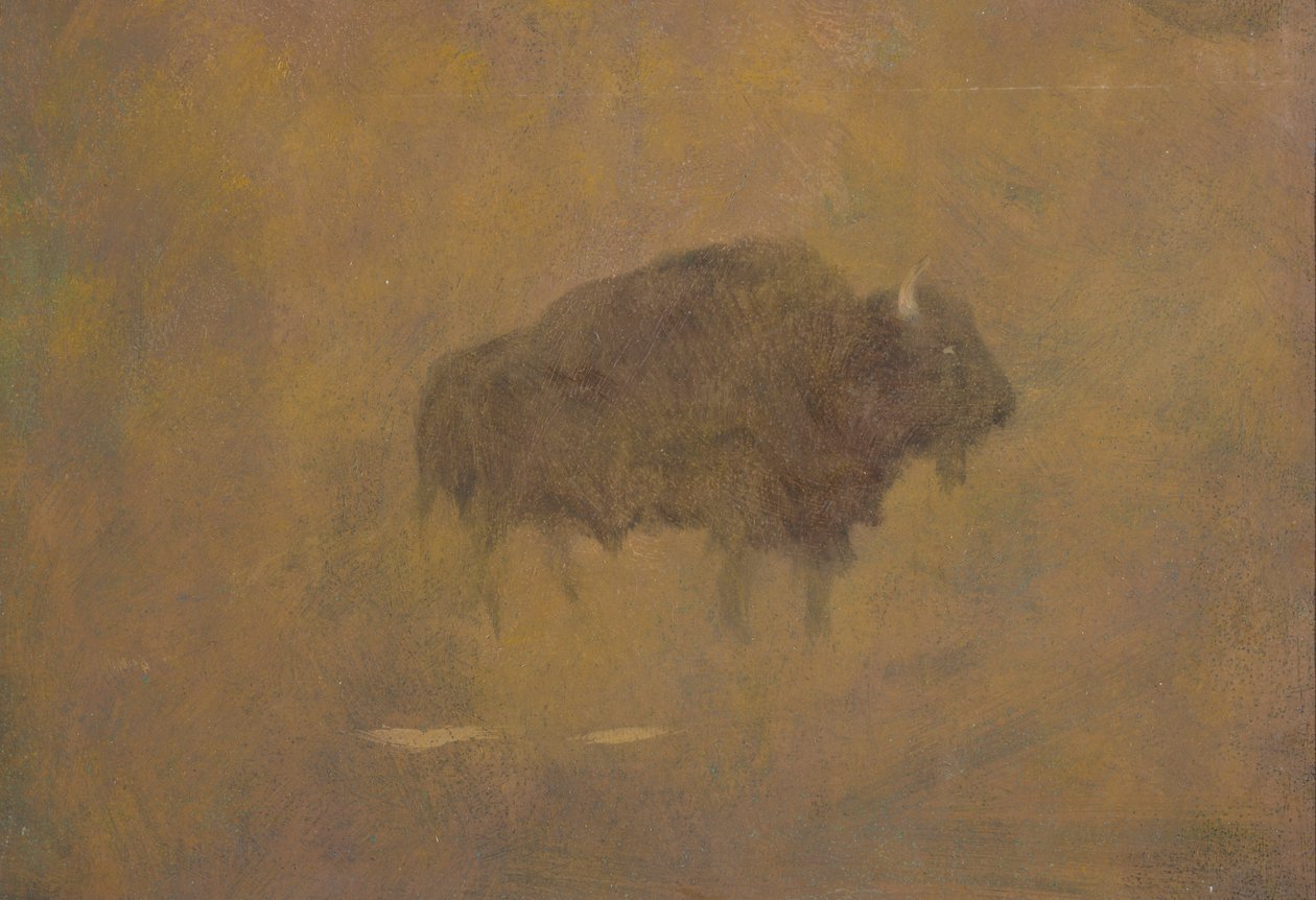 Buvol v písečné bouři (olej na papíře připevněný na palubě) od Albert Bierstadt