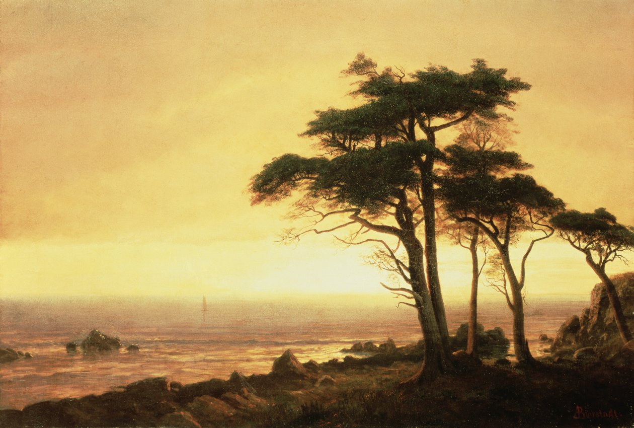 Kalifornské pobřeží (olej na plátně) od Albert Bierstadt