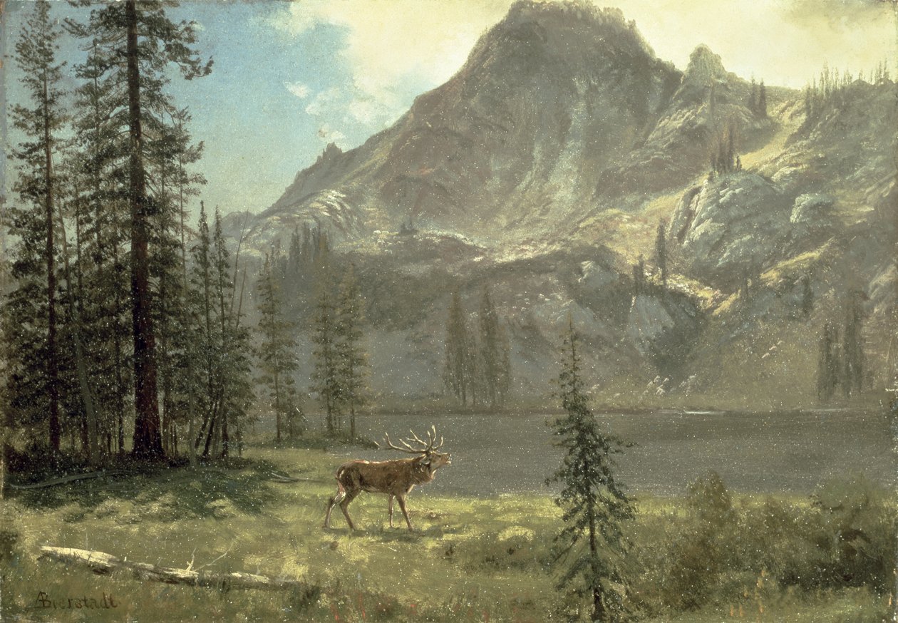 Volání divočiny od Albert Bierstadt
