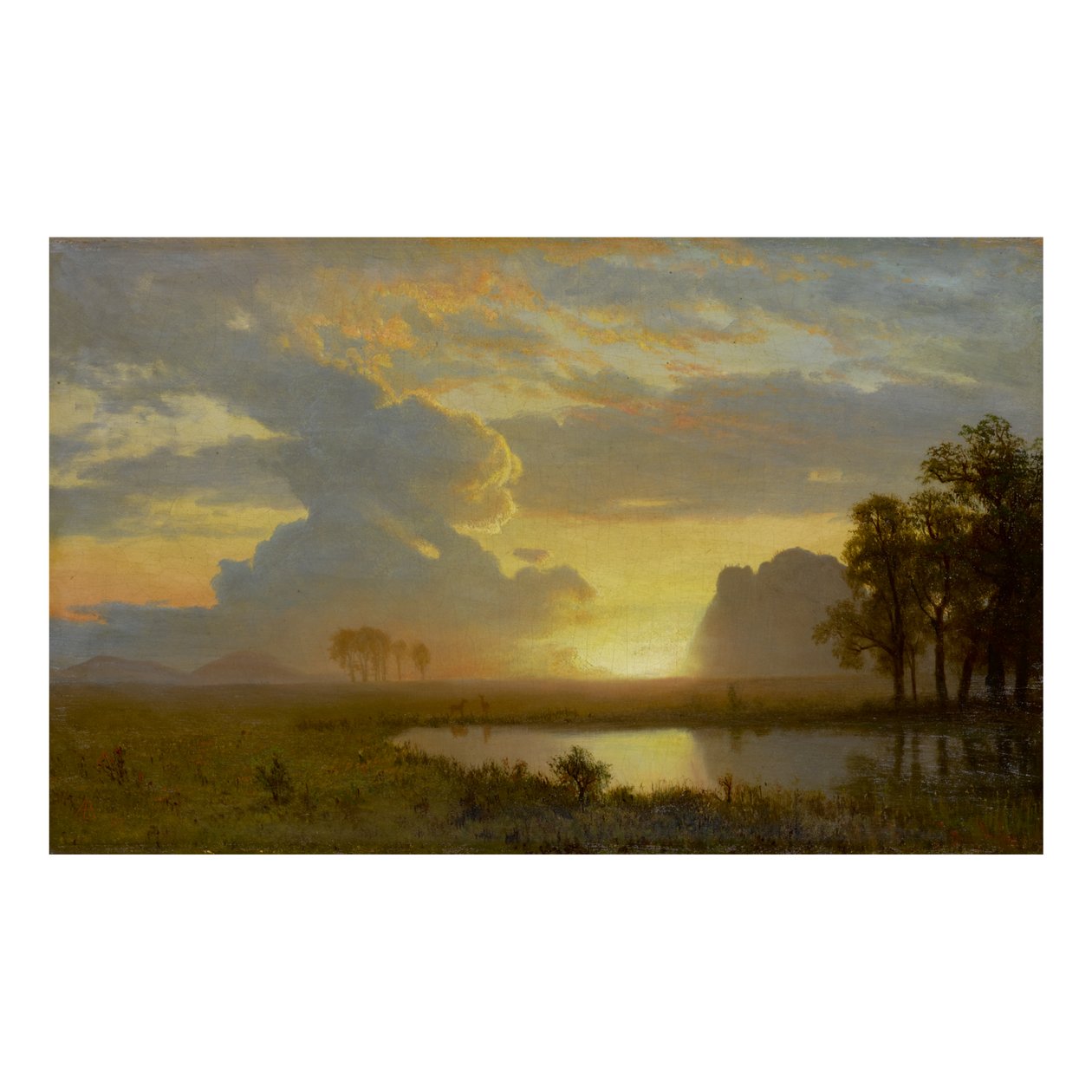 ESTES PARK, COLORADO od Albert Bierstadt