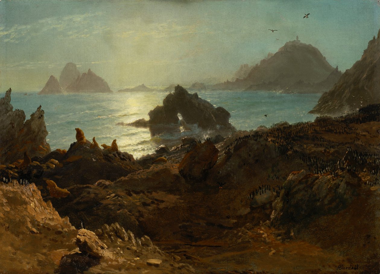 Farallonské ostrovy, Tichý oceán, Kalifornie od Albert Bierstadt
