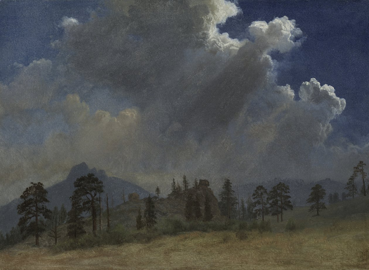 Jedle a bouřkové mraky od Albert Bierstadt
